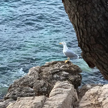 A Cha Cha Cha - Hébergement de vacances
